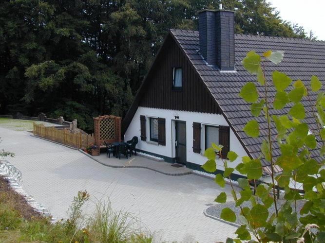 Nice Holiday Home Near Ski Area Medebach Exterior foto